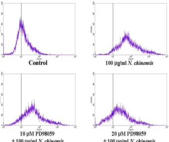 Fig. 5. Effect of N. chinensis on PKC activity and protein levels of PKC isoforms in U937 cells