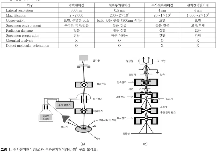 그림 1.  주사전자현미경(a)과  투과전자현미경(b)의 1   구조  모식도.