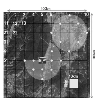 Fig.  1.  Battle  field  for  the  mathematical  models