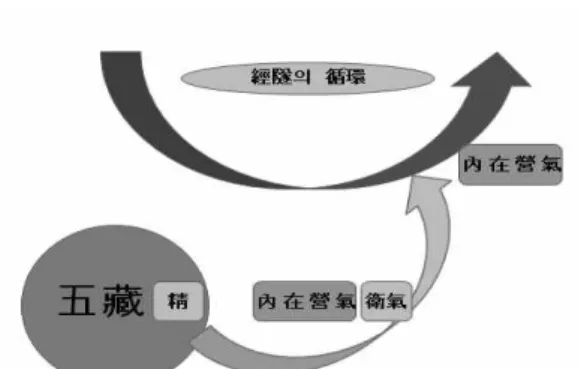 Fig. 2. Movement of Existed Nutrient Qi and Essence to Meridians.