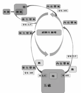 Fig. 3. Formations and Consuptions of Nutrienat Qi and Essence.