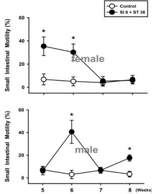 Fig. 6. The combined acupoint's effects of cauterizing with moxa at SI8 and ST36 on small intestinal motility in rats