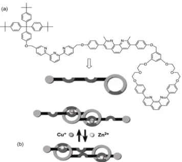 그림 8. Rotaxane 기반의 분자체에 기반한 인공 근육.