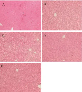 Table 2. Effect of Rosa rugosa Radix extract on serum glucose and insulin concentration Normal group Controlgroup Experimentalgroup Ⅰ Experimentalgroup Ⅱ Experimental group Ⅲ Glucose (㎎/㎗) 96.44±14.38 296.88±28.24 a 190.58±15.83 b 153.67±13.59 b 175.3±17.4