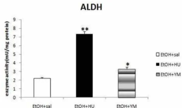 Fig. 5. Effects of medicinal herbal drinks on drinking water volume in drunken rats. Values are Mean±SE for 10 rats