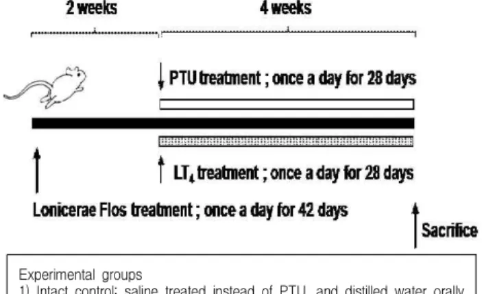 Fig. 1. Experimental designs used in this study. Eight rats per groups;