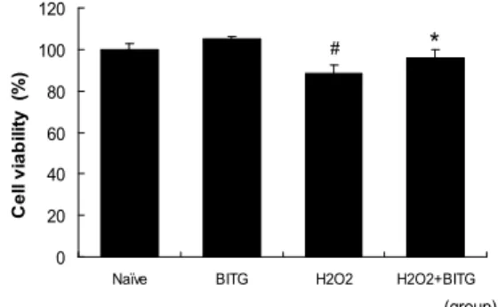 Fig. 5. Protective effects of BITG on Oxidative stress induced by Hydrogen peroxide in C6 glioma cells
