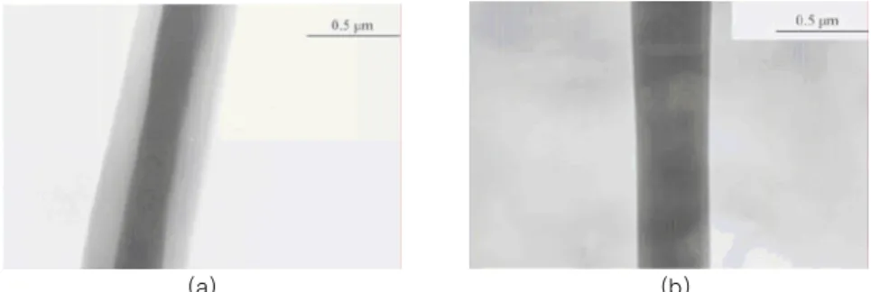 그림 4. PVP/PLA 이중구조 섬유의 TEM 사진. (a)공급속도(0.05/0.1 mL/h) 및 (b) 공급속도(0.025/0.05 mL/h).