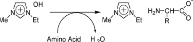 Fig.  1.  Typical  reaction  equation  of  IL  synthesis