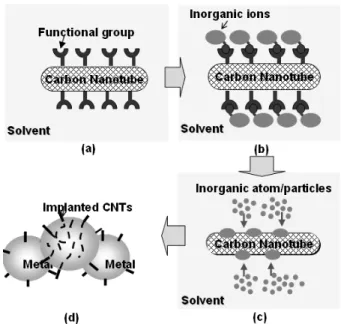 그림 2. Schematics depicting strategies and procedures for the mo- mo-lecular level mixing process, (a)functionalization of carbon nanotube, (b)reaction between the ions and the functional group on the carbon nanotube surface, (c)nucleation and growth of ino