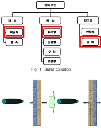 Fig.  1.  Bullet  condition