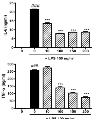 Fig. 5. Changes in P-IκBα  expression by SHHT treatment.
