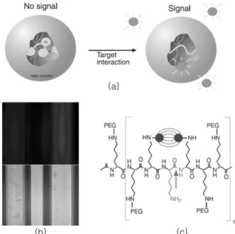 표 1. Representative Föster distances for various donor-acceptor pairs. (1d) Donor  Acceptor  R o (Å) Donor Acceptor R o (Å) Naphthalene  Dansyl  22  IAEDANS  IAF  46∼56