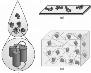 그림 4. 주위 환경에 따른 단백질의 구조 변화(Zhang, Nature Materials, 2004).