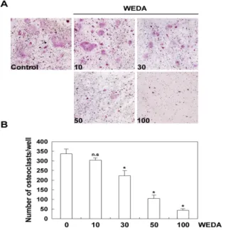 Fig.  1.  Effect  of  water  extract  of  deer  antler  (WEDA)  on  LPS-induced  osteoclast  differentiation