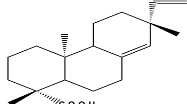 Fig.  1.  Chemical  structure  of  continentalic  acid  (CA)  isolated  from  Aralia  continentalis.