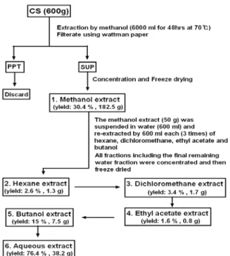 Fig.  1.  Extraction  and  fractionation  procedures  of  CS