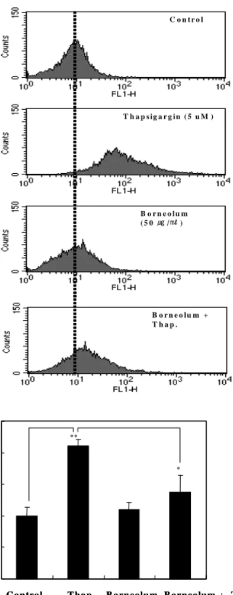 Fig.  7.  Borneolum  inhibited  thapsigargin-induced  intracellula  Ca ++