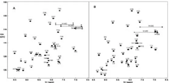 그림 11. Crambin의  1 H- 15 N HSQC(heteronuclear single quantum correlation spectroscopy)