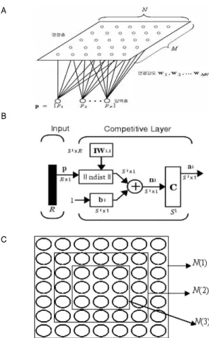 Fig. 1. Schematic explanation of Self-Organizing Map (SOM). (A) structure of Self Organizing Map, (B) network diagram of SOM, (C) Change of outer range during the SOM learning