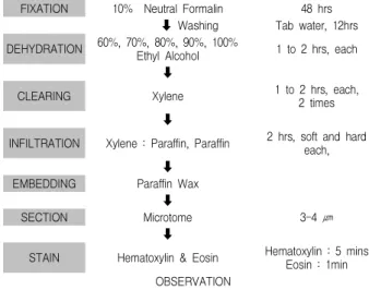Fig. 1. Cytotoxicity of GBB2 on human fibroblast Cells(hFCs). Human fibroblast cells(hFCs) were treated with various concentration(500, 250, 125, 62.5, 31.25 ㎍/㎖) of the GBB2 extract.
