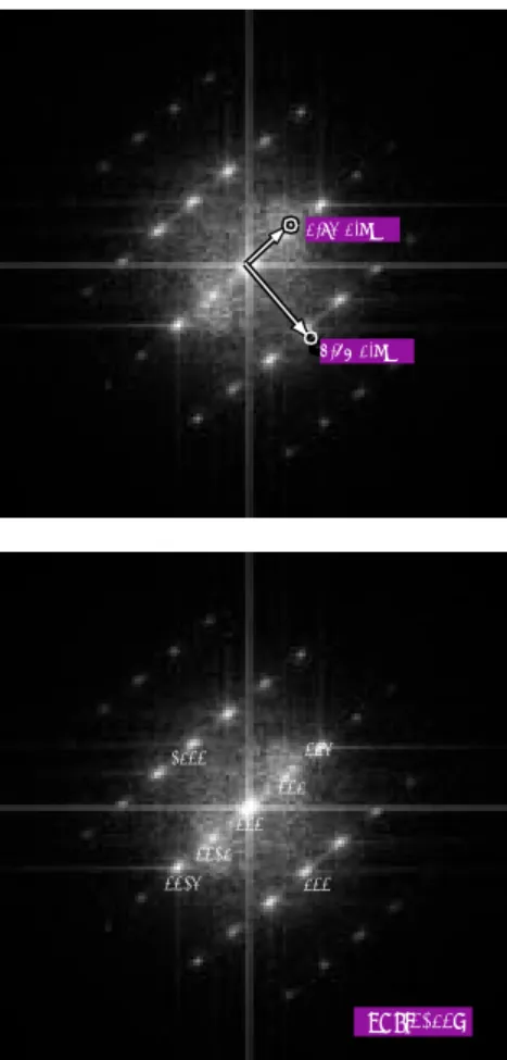 그림 20. TEM image with low magnification of In 2 O 3 (ZnO) 5  nanowire.