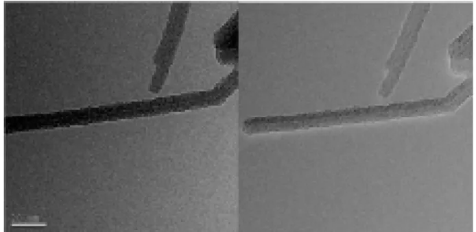그림 32. General TEM and EFTEM images of polymer-coated CNT single nanotube.