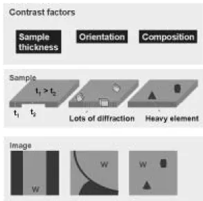 그림 2. Three important factors forming the image contrast in TEM.