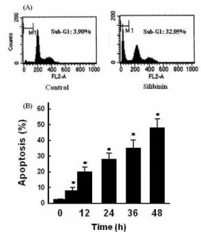 Fig. 1. Effect of silibinin on apoptosis. Cells were exposed to 30 μM silibinin for 36 h (A) and indicated times (B)