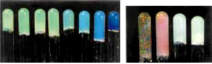 그림 3. Formation of the core-shell type hydrogel nanoparticles by electrostatic interactions