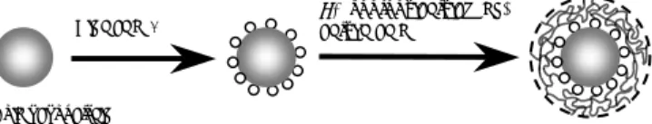 그림 5. Hydrogel-coated gold nanoparticles prepared by surfac- surfac-tant-free emulsion polymerization