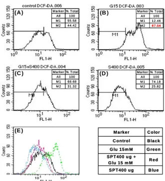 Fig.  4.  SPT  inhibited  the  activation  of  PARP  and  caspase-3  protease  from  the  glutamate-induced  toxicity  of  C6  glial  cells  in  a  dose-dependent  manner