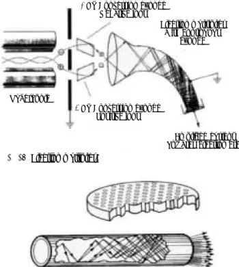 그림 20. The top image represents a portion of a two-dimensional gel electrophoresis analysis of E