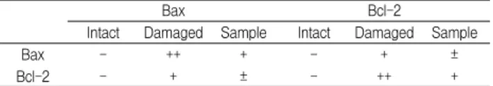 Table  2.  Changes  of  Bax  and  Bcl-2  Immuno-Reactivity  in  Soleus  and  Medial  Gastrocnemius  Muscles  of  the  Sciatic  Nerve  Transectioned  Rats