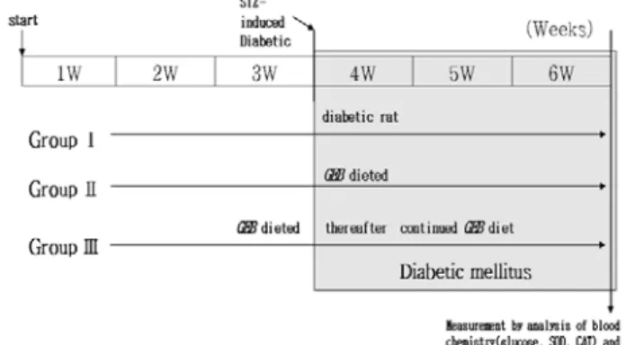 Fig.  1.  Scheme  of  experiment.