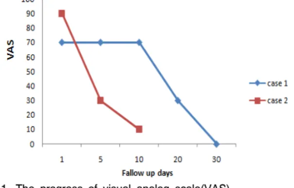 Fig.  1.  The  progress  of  visual  analog  scale(VAS)