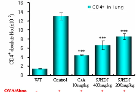 Fig.  1.  Effect  of  SJHDJ  extract  on  CD4 +   absolute  cell  number  in  lung  of  OVA-induced  mice