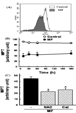 Fig.  5.  Effect  of  Mori  Fructus  (MF)  on  mitochondrial  membrane  potential  transition  (MPT)