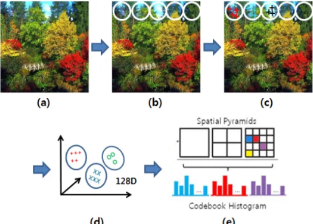 Fig.  1.  Feature  extraction  on  the  local  level Above  figure  shows  the  process  for  getting  local  level  features  from  a  given  image