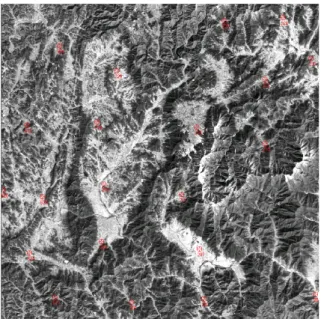 Fig.  2.  Distribution  of  ground  control  points