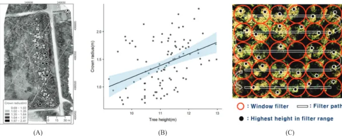 Figure 2.  Linear regression of crown radius and tree height for VWS.