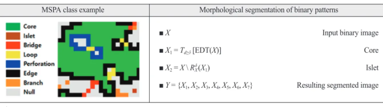 Figure 1.  MSPA Class example and morphological segmentation of binary patterns.