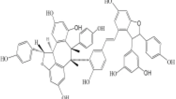 Fig.  1.  Chemical  structure  of  Vitisin  A. 