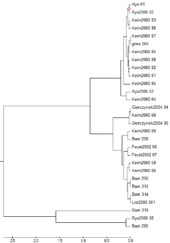 Fig.  3.  The  phylogenetic  tree  for  strain  Hyu  #1.  The  relationship  between  MLVA-8  and  sub-lineage