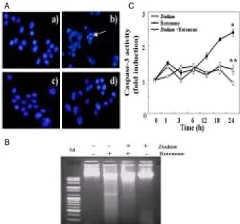 Fig.  1.  Effects  of  Dodam  on  the  Rotenone-induced  cytotoxicity  in  Neuro-2A  cells