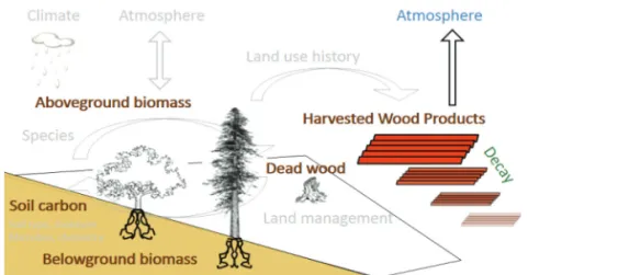 Figure 1.  InVEST carbon model process (https://naturalcapitalproject.stanford.edu/