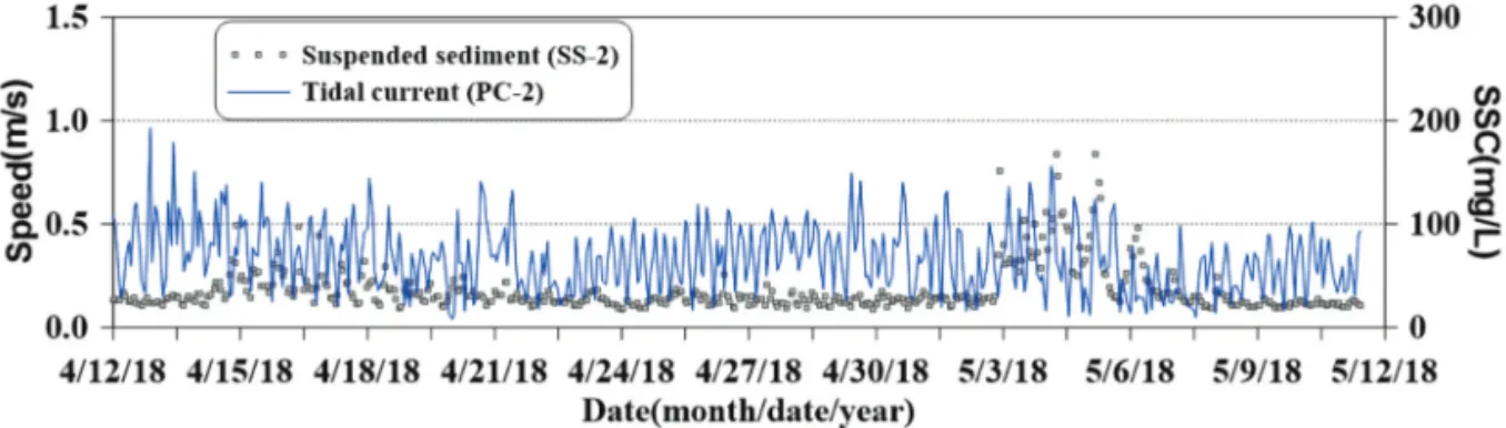 Figure 7.  Time series of the wave height and suspended sediment (Bottom).