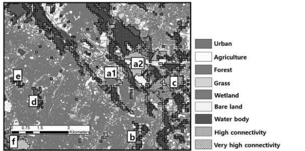 Figure 8.  NDVI distribution and connectivity (referring to Figure 6B).