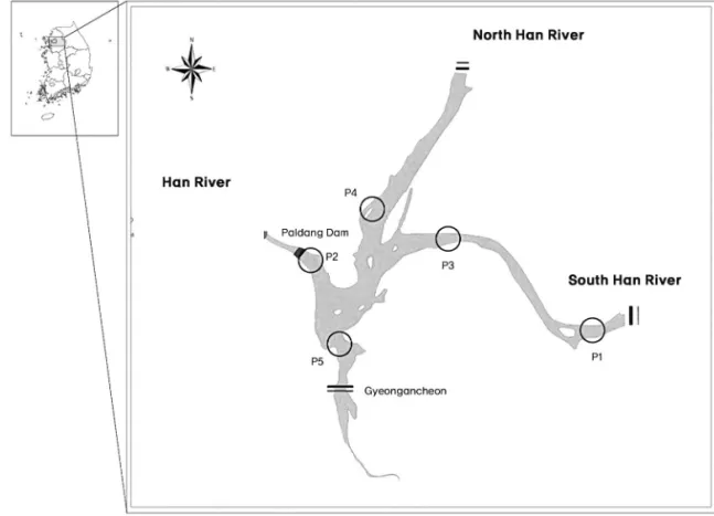 Figure 1.  Location of study sites in Paldang lake.