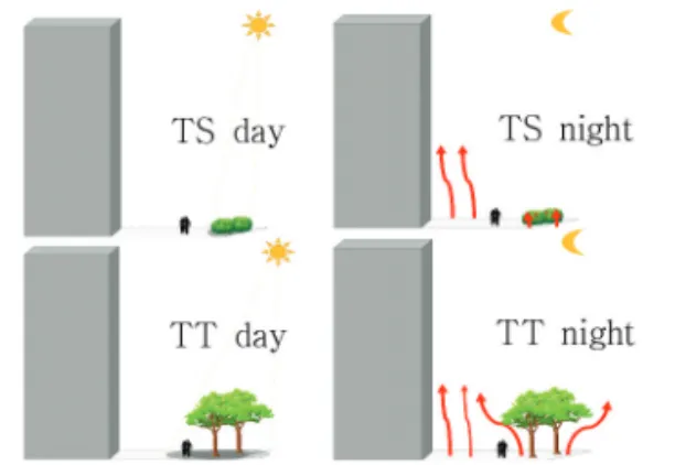 Figure 8.  Heat flux diagram of TS &amp; TT : At night TS and TT indicate that the storage heat is released from the surface of the earth and there is a difference in the numerical value of the emission heat under shrubs and trees.